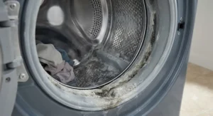 Interior drum of a washer for hard water showing calcium and mineral scale accumulation